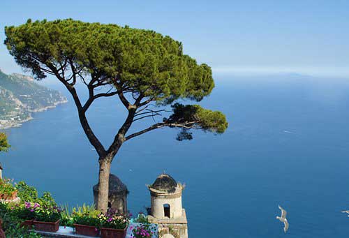 The Chauffeur of Positano: Costa d'Amalfi