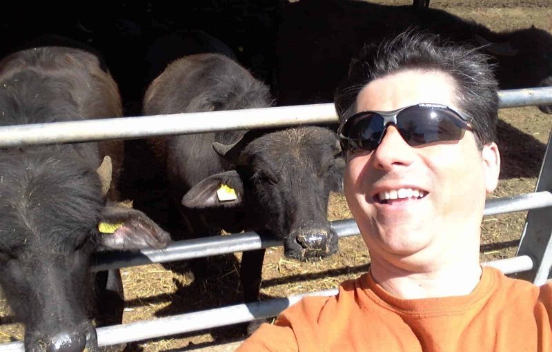 The Chauffeur of Positano: Tour di Paestum & dei bufali